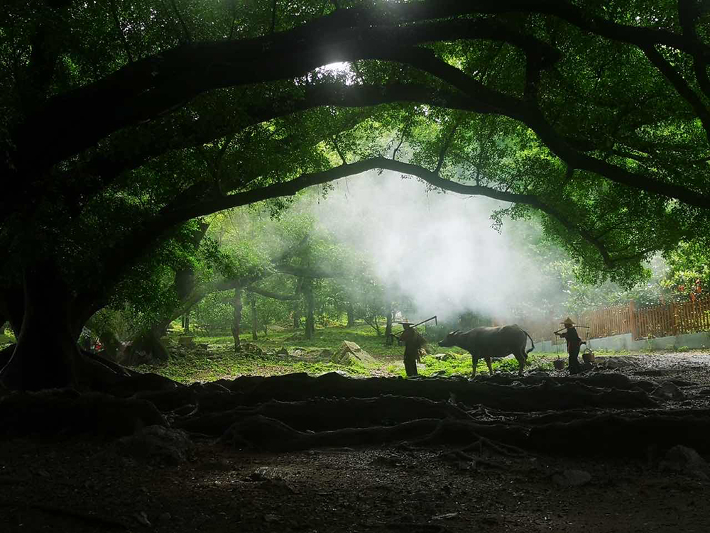 2024年職工療休養活動(dòng)之四 | 福建霞浦三日游(圖4)
