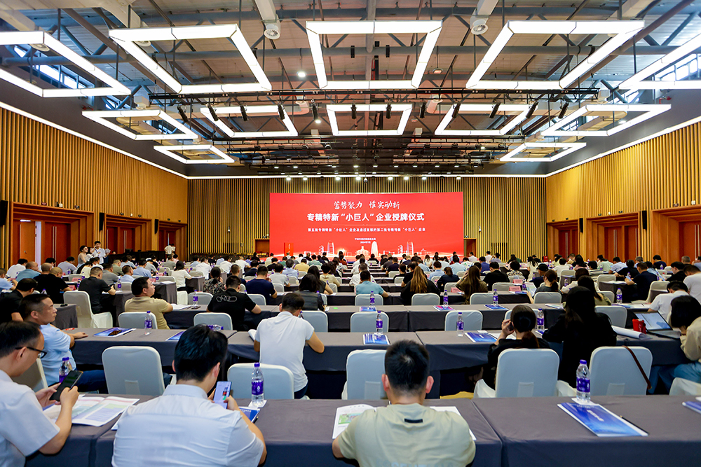 公司成功通過(guò)專(zhuān)精特新“小巨人”企業(yè)復評，創(chuàng  )新實(shí)力再獲認可(圖3)