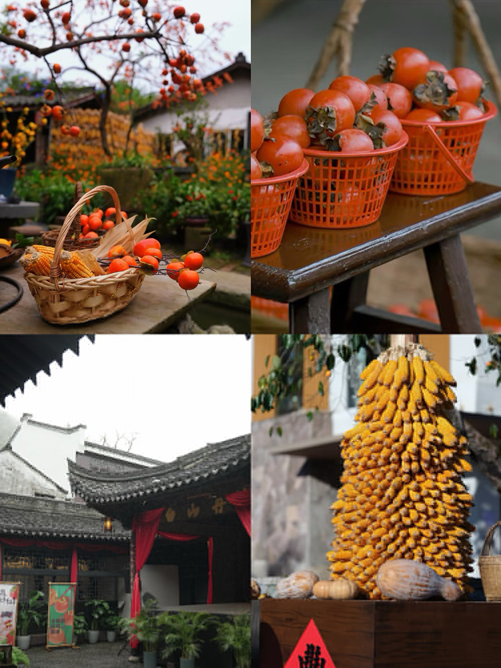 踏秋四明山，聚力向未來(lái) | 我們的四明山柿林村徒步之旅(圖3)